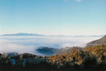 Misty View from PSM