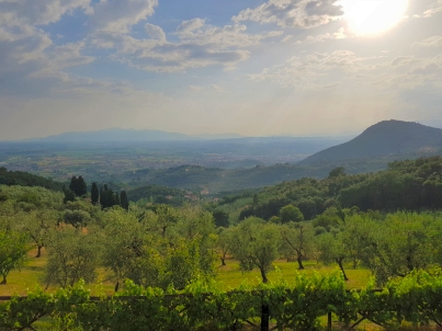 View into the valley