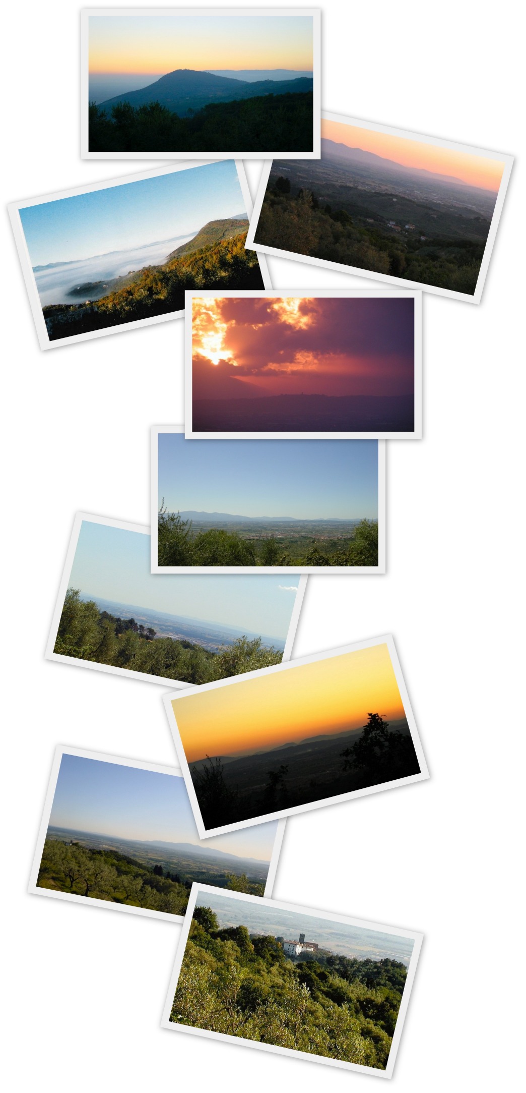 Views collage