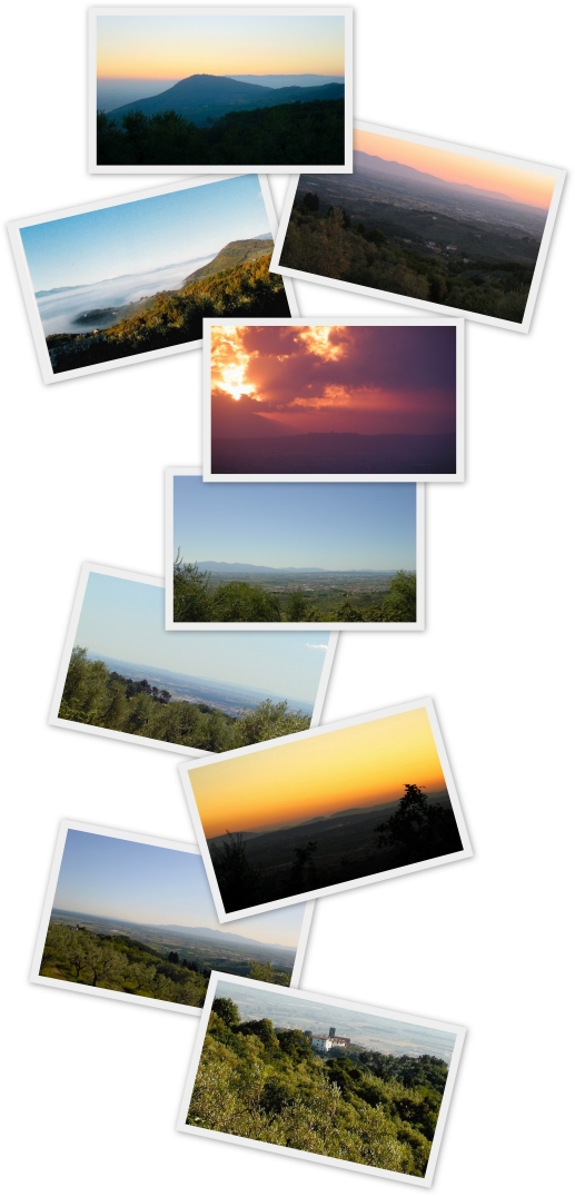 Views collage