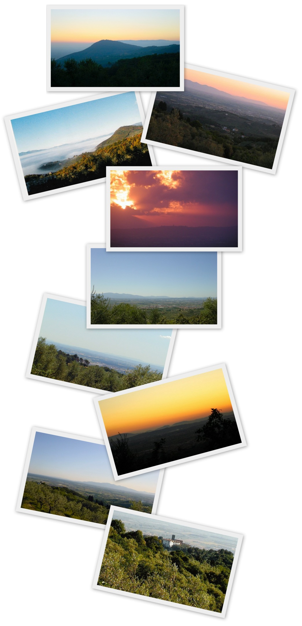 Views collage